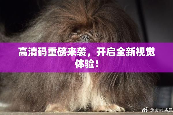 高清码重磅来袭，开启全新视觉体验！