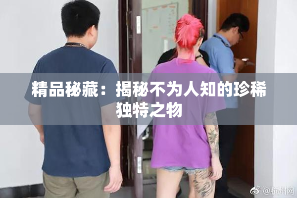 精品秘藏：揭秘不为人知的珍稀独特之物