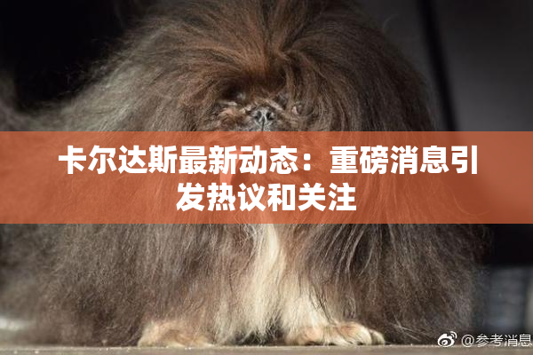 卡尔达斯最新动态：重磅消息引发热议和关注