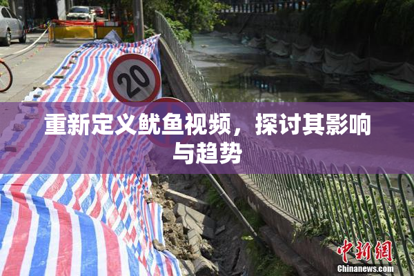 重新定义鱿鱼视频，探讨其影响与趋势