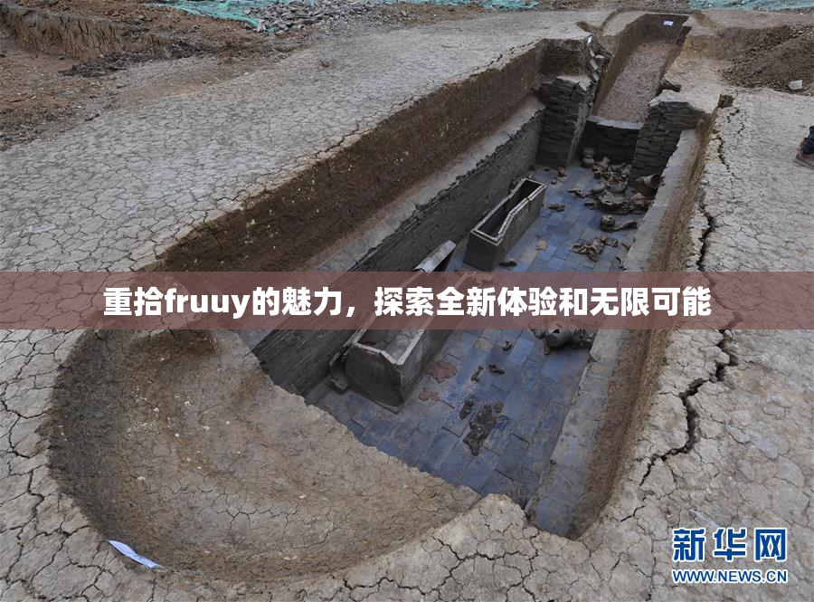 重拾fruuy的魅力，探索全新体验和无限可能