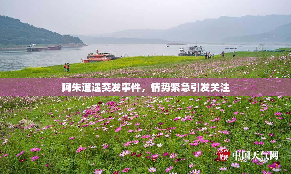 阿朱遭遇突发事件，情势紧急引发关注