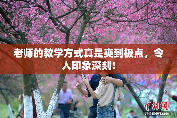老师的教学方式真是爽到极点，令人印象深刻！