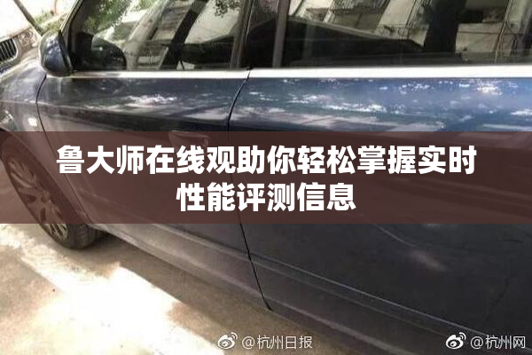鲁大师在线观助你轻松掌握实时性能评测信息
