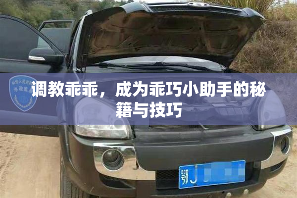 调教乖乖，成为乖巧小助手的秘籍与技巧