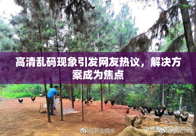 高清乱码现象引发网友热议，解决方案成为焦点
