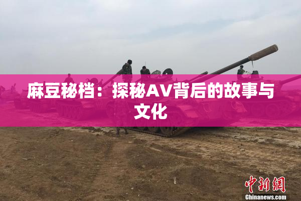 麻豆秘档：探秘AV背后的故事与文化