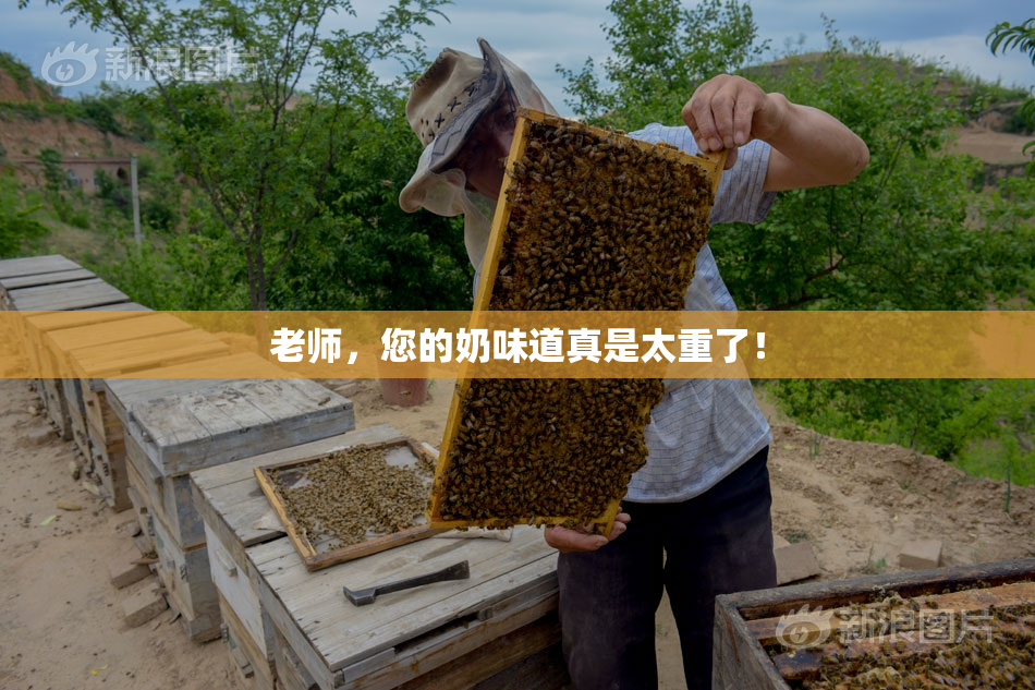 老师，您的奶味道真是太重了！