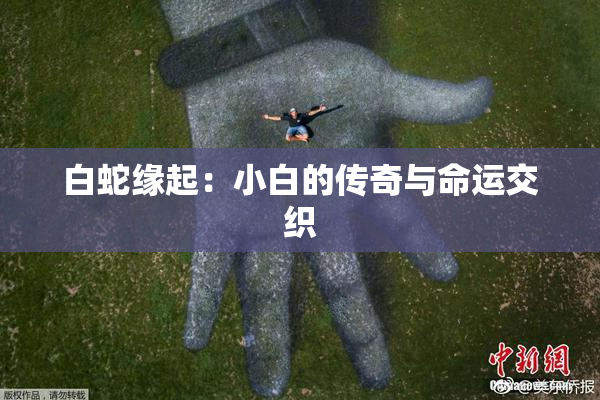 白蛇缘起：小白的传奇与命运交织