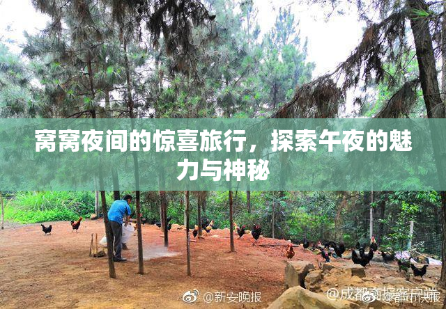 窝窝夜间的惊喜旅行，探索午夜的魅力与神秘