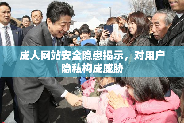 成人网站安全隐患揭示，对用户隐私构成威胁