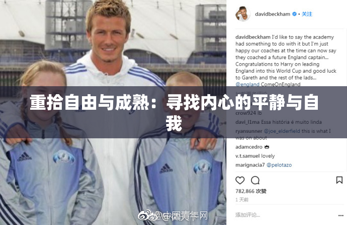 重拾自由与成熟：寻找内心的平静与自我