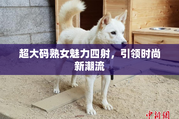 超大码熟女魅力四射，引领时尚新潮流
