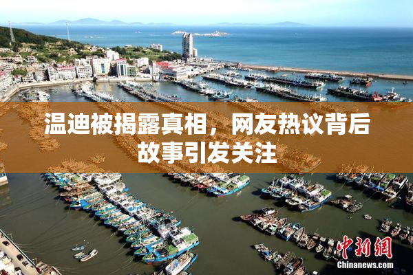 温迪被揭露真相，网友热议背后故事引发关注
