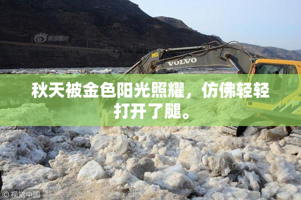 秋天被金色阳光照耀，仿佛轻轻打开了腿。