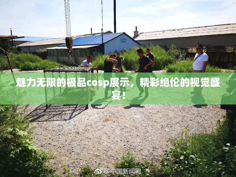 魅力无限的极品cosp展示，精彩绝伦的视觉盛宴！