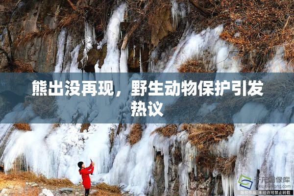 熊出没再现，野生动物保护引发热议
