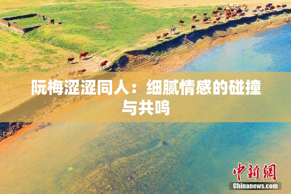 阮梅涩涩同人：细腻情感的碰撞与共鸣