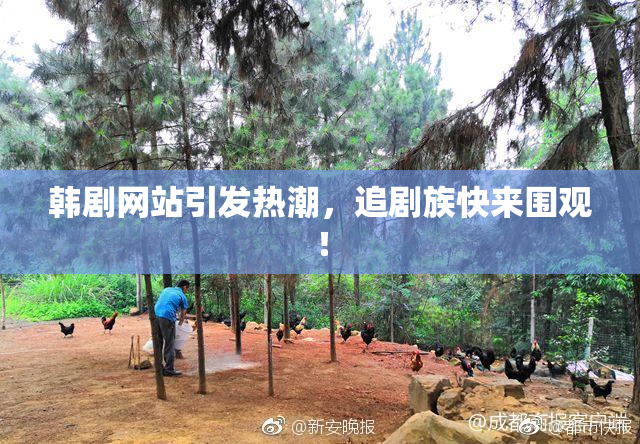 韩剧网站引发热潮，追剧族快来围观！