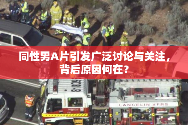 同性男A片引发广泛讨论与关注，背后原因何在？