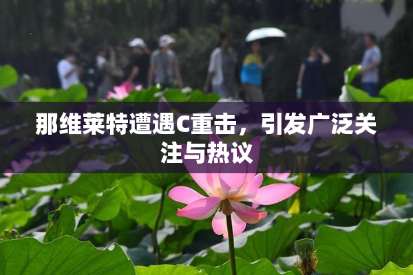 那维莱特遭遇C重击，引发广泛关注与热议