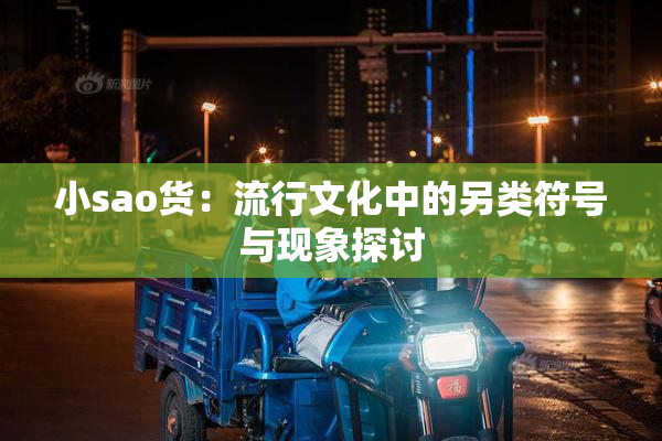 小sao货：流行文化中的另类符号与现象探讨