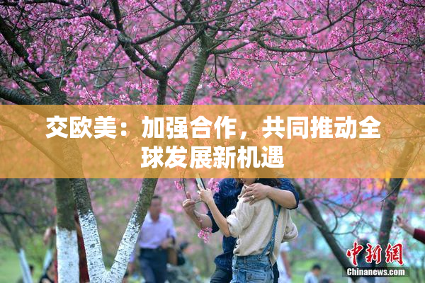 交欧美：加强合作，共同推动全球发展新机遇