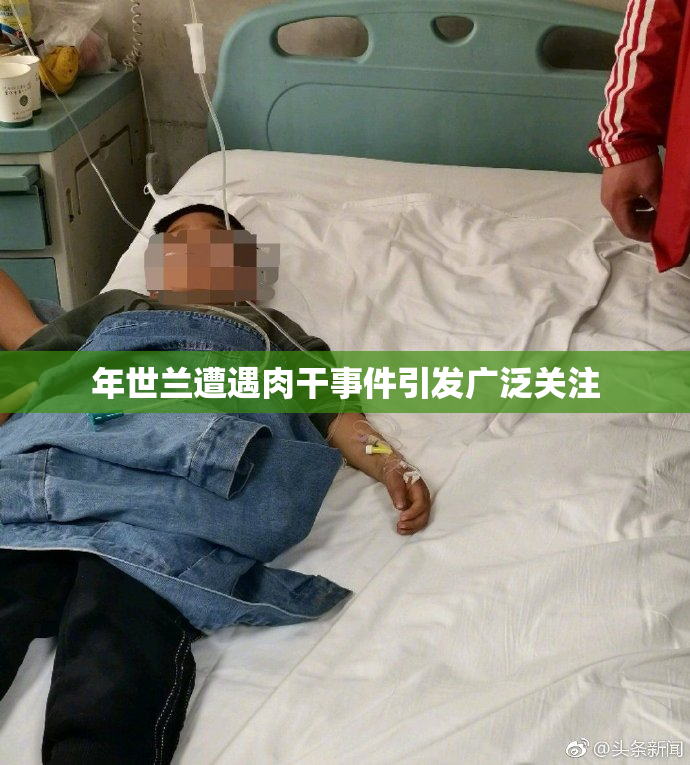 年世兰遭遇肉干事件引发广泛关注