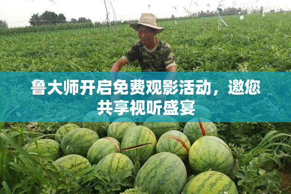 鲁大师开启免费观影活动，邀您共享视听盛宴