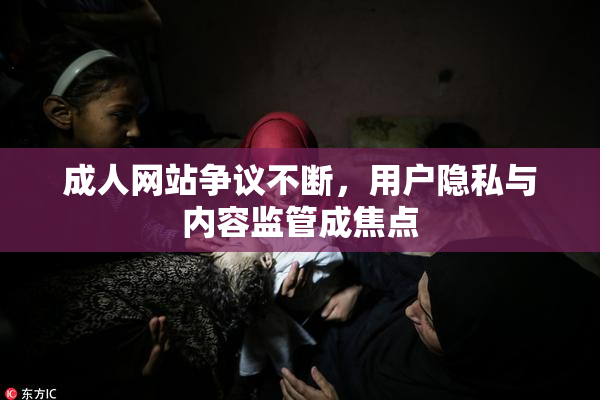 成人网站争议不断，用户隐私与内容监管成焦点