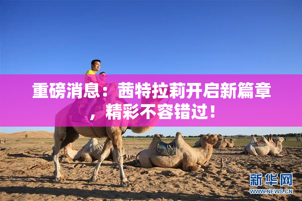 重磅消息：茜特拉莉开启新篇章，精彩不容错过！