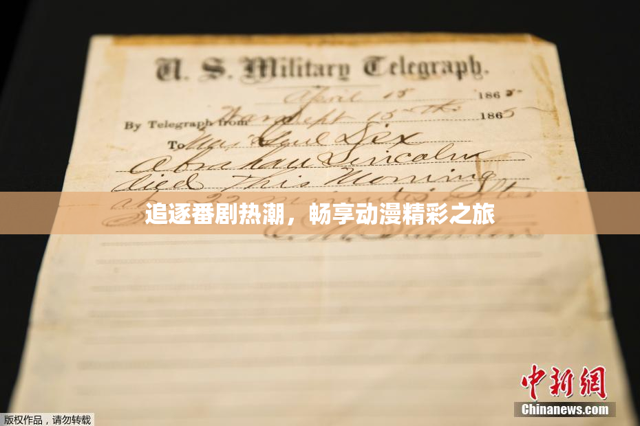 追逐番剧热潮，畅享动漫精彩之旅