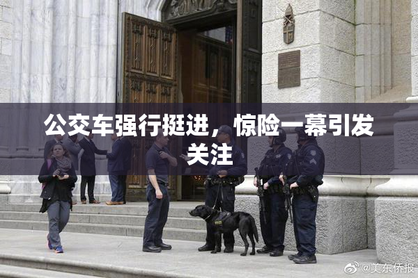 公交车强行挺进，惊险一幕引发关注