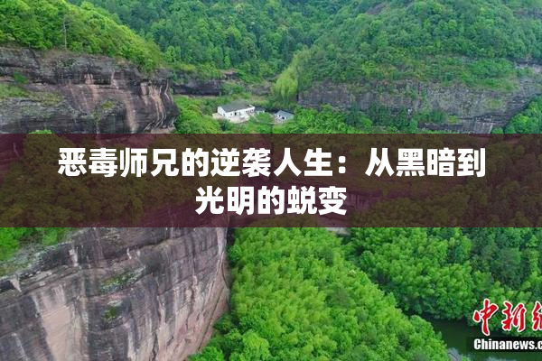 恶毒师兄的逆袭人生：从黑暗到光明的蜕变