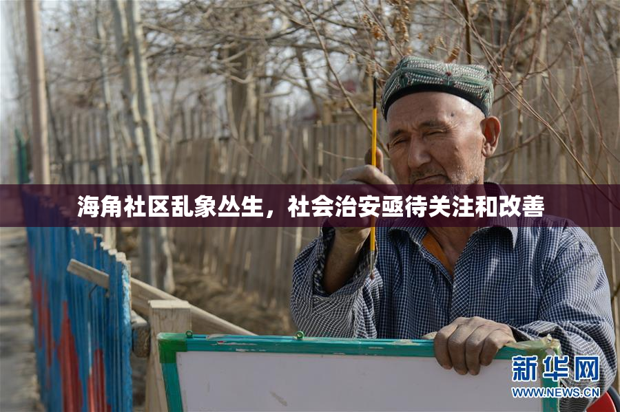 海角社区乱象丛生，社会治安亟待关注和改善