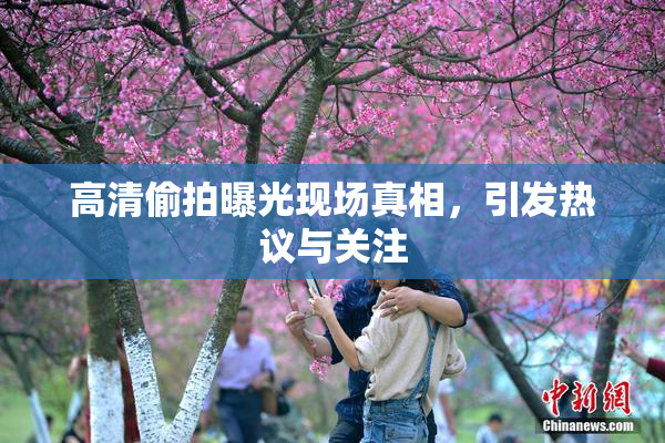高清偷拍曝光现场真相，引发热议与关注