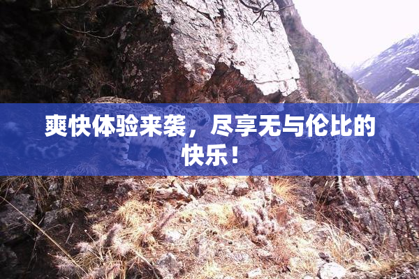 爽快体验来袭，尽享无与伦比的快乐！