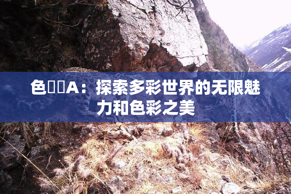 色妺妺A：探索多彩世界的无限魅力和色彩之美
