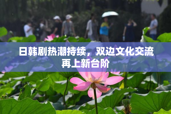 日韩剧热潮持续，双边文化交流再上新台阶