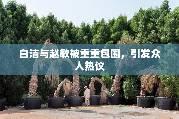 白洁与赵敏被重重包围，引发众人热议
