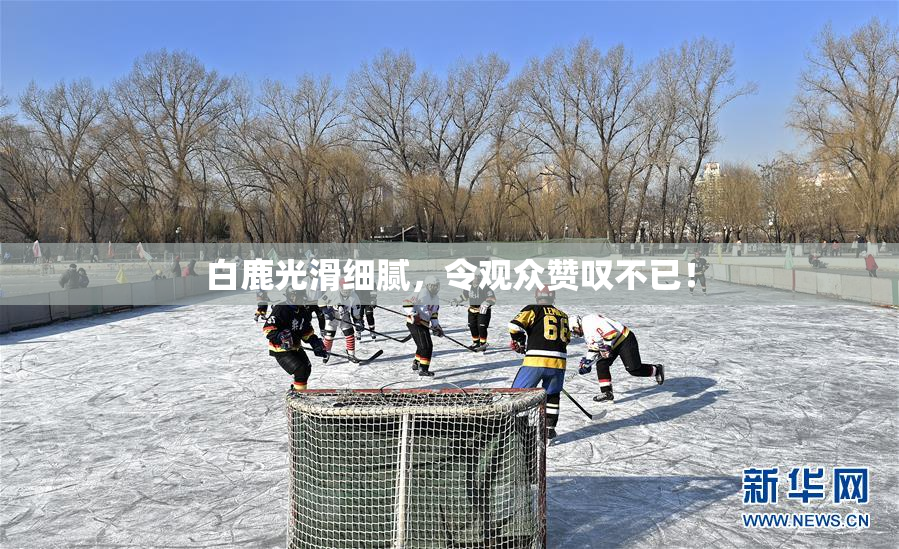 白鹿光滑细腻，令观众赞叹不已！