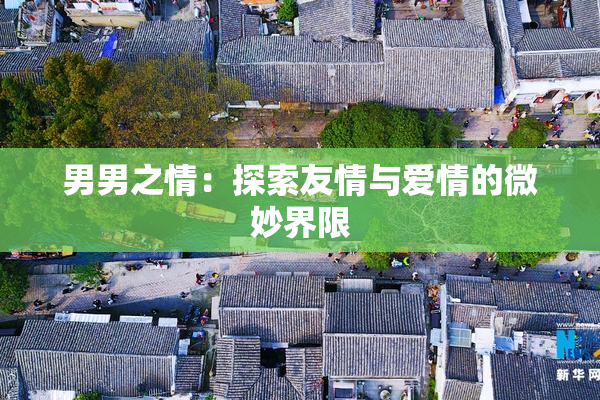 男男之情：探索友情与爱情的微妙界限