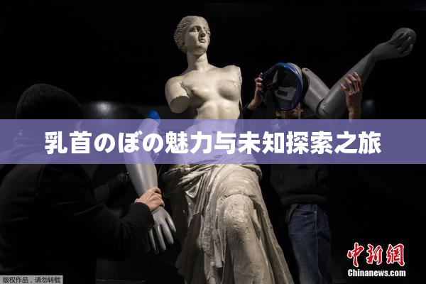 乳首のぼの魅力与未知探索之旅