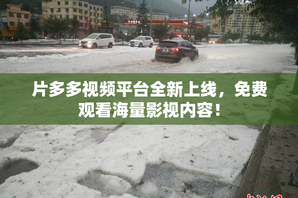 片多多视频平台全新上线，免费观看海量影视内容！
