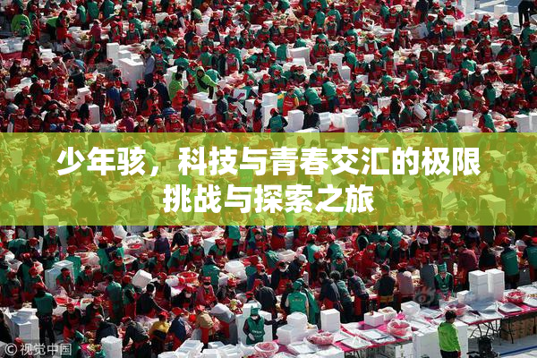 少年骇，科技与青春交汇的极限挑战与探索之旅
