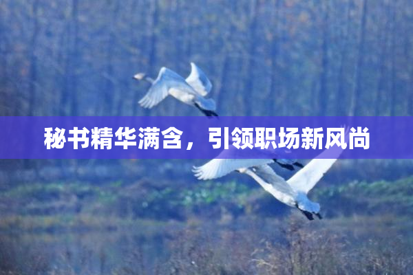 秘书精华满含，引领职场新风尚