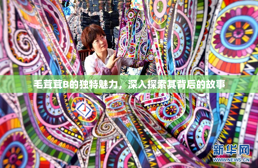 毛茸茸B的独特魅力，深入探索其背后的故事