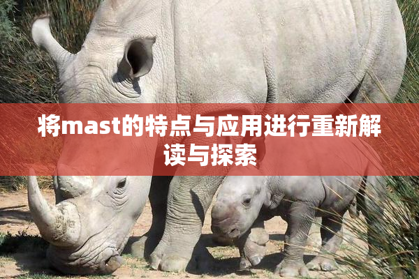 将mast的特点与应用进行重新解读与探索