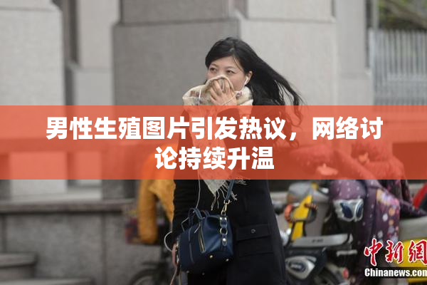 男性生殖图片引发热议，网络讨论持续升温