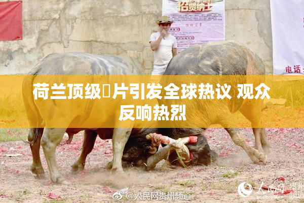 荷兰顶级婬片引发全球热议 观众反响热烈